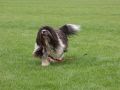 Nhled: Roxy