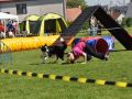 Nhled: I toto je agility...