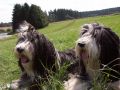 Nhled: Cecilka a Barborka