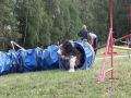 Nhled: Cecilka