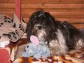 Nhled: Roxy