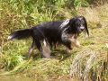 Nhled: Roxy