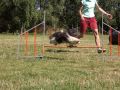 Nhled: Roxy