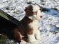 Nhled: Ennie