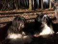 Nhled: Roxy a Happy