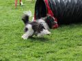 Nhled: Roxy