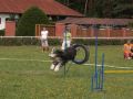 Nhled: Barborka